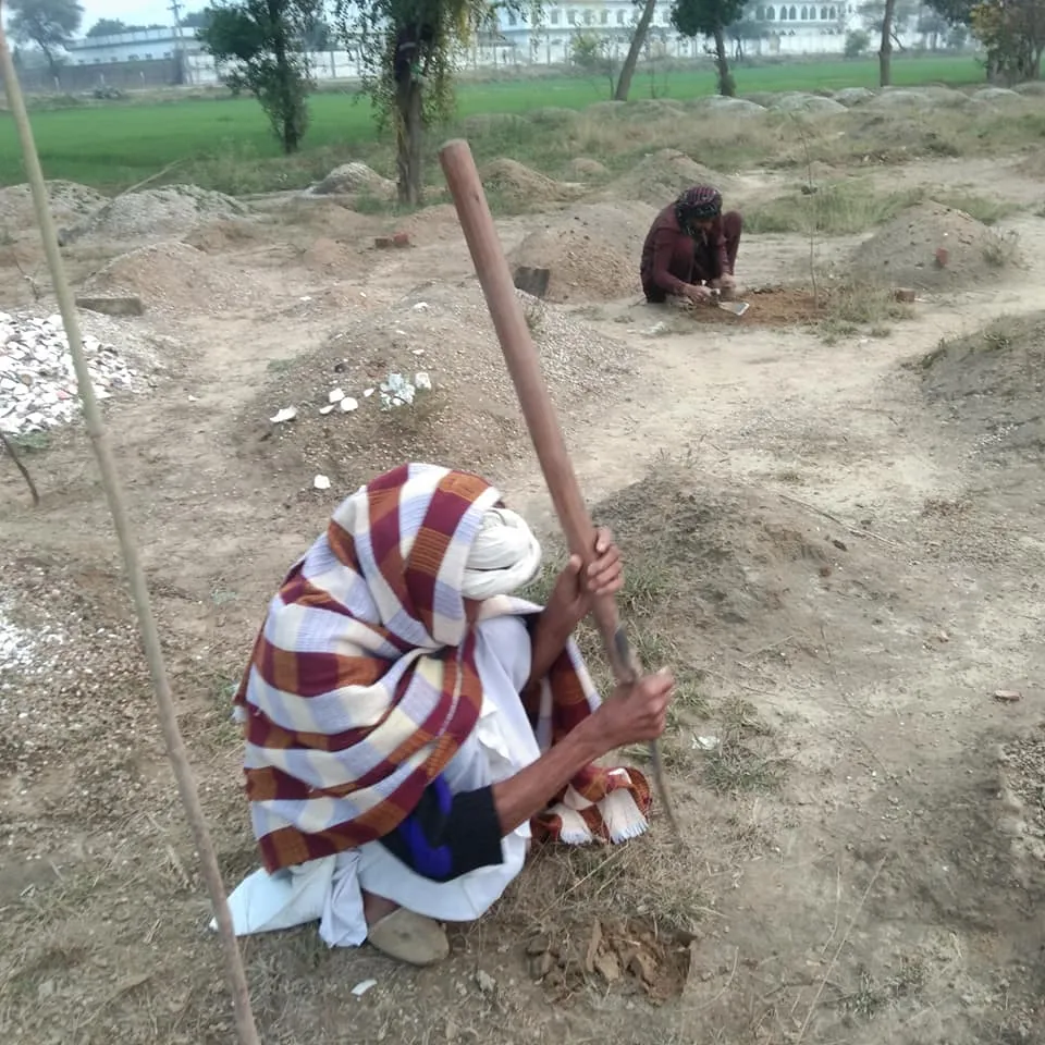 Green Seekers Activity